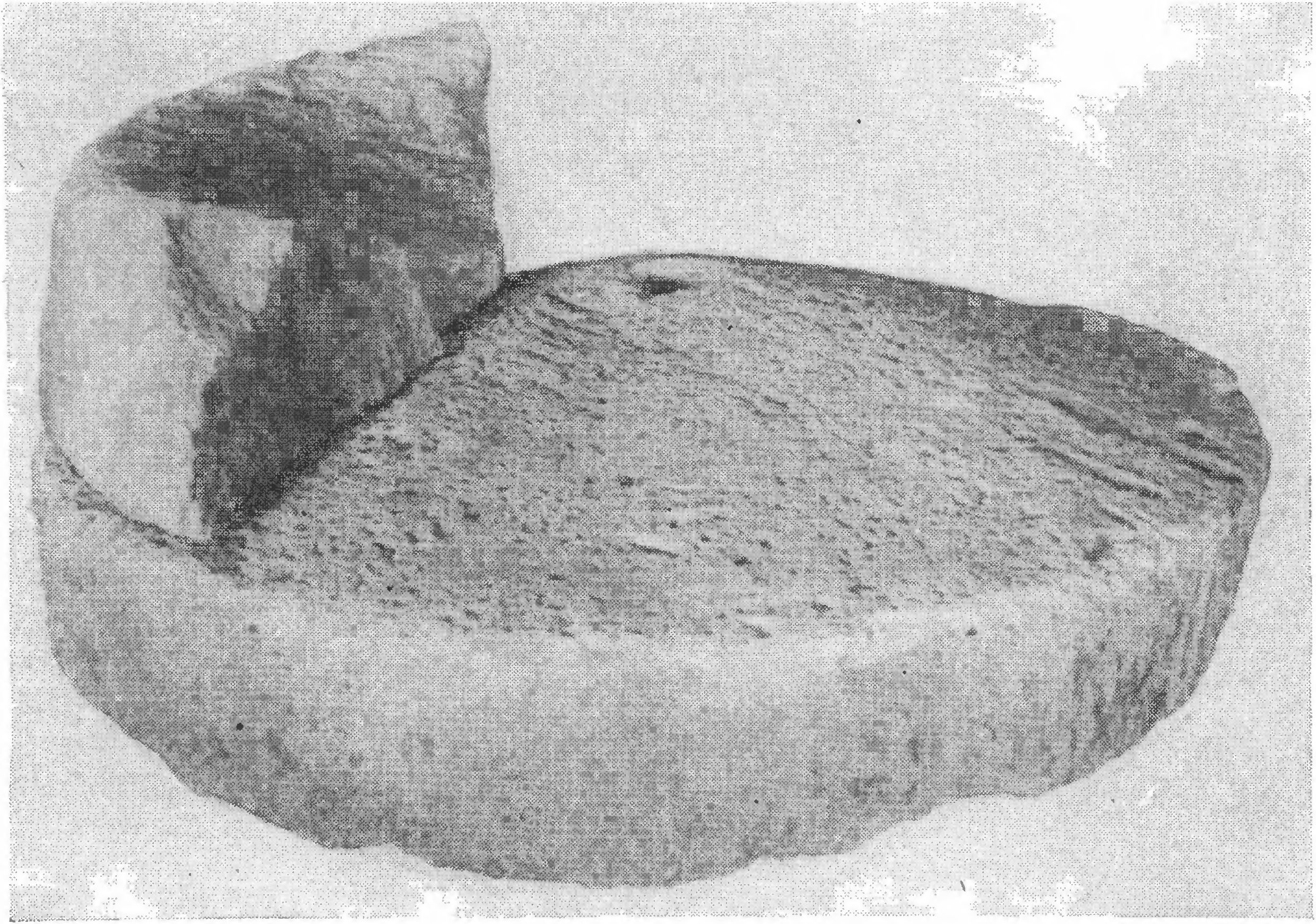 10. Ручная мельница с вращающимися жерновами из Ольвии 10. Ручная мельница с вращающимися жерновами из Ольвии