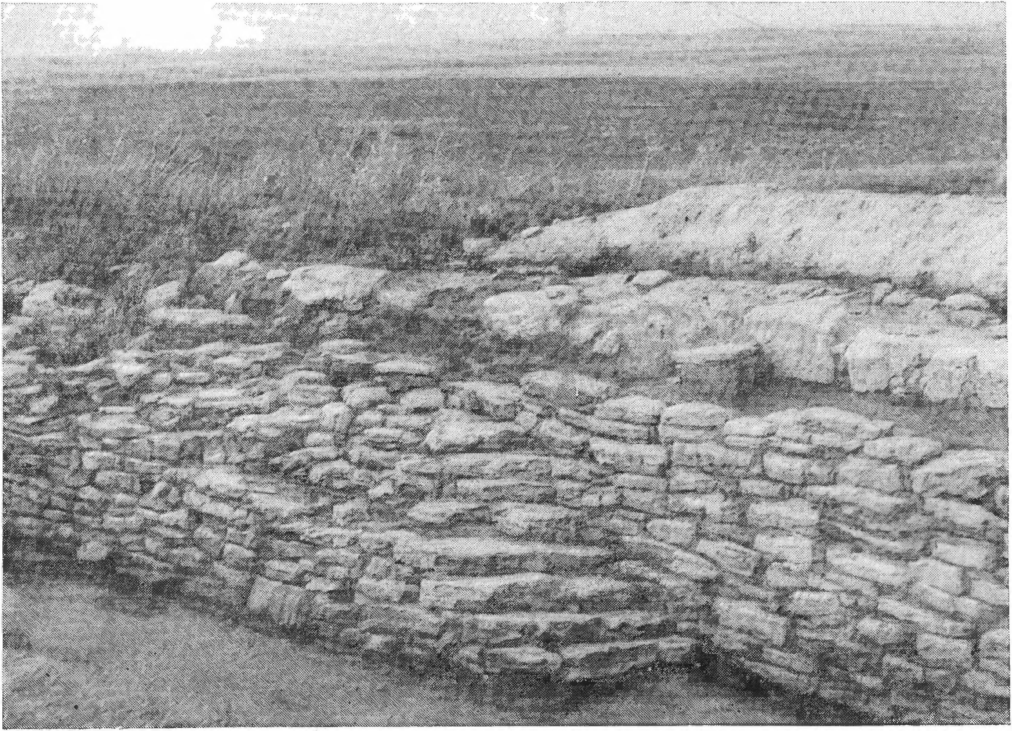 99. Оборонительная стена Семибратнего городища 99. Оборонительная стена Семибратнего городища