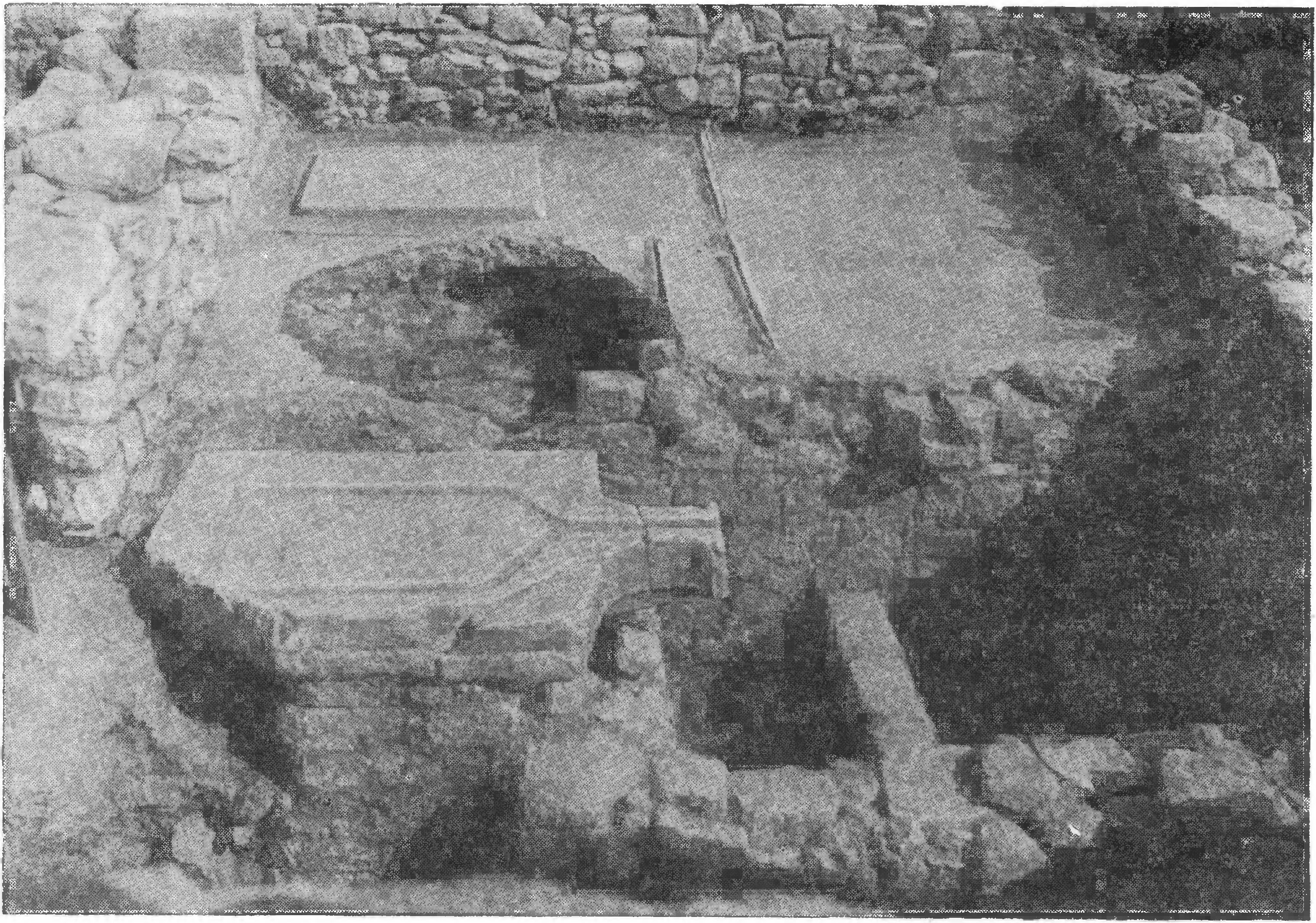 11. Винодельня в Мирмикии (раскопки 1934 г.) 11. Винодельня в Мирмикии (раскопки 1934 г.)