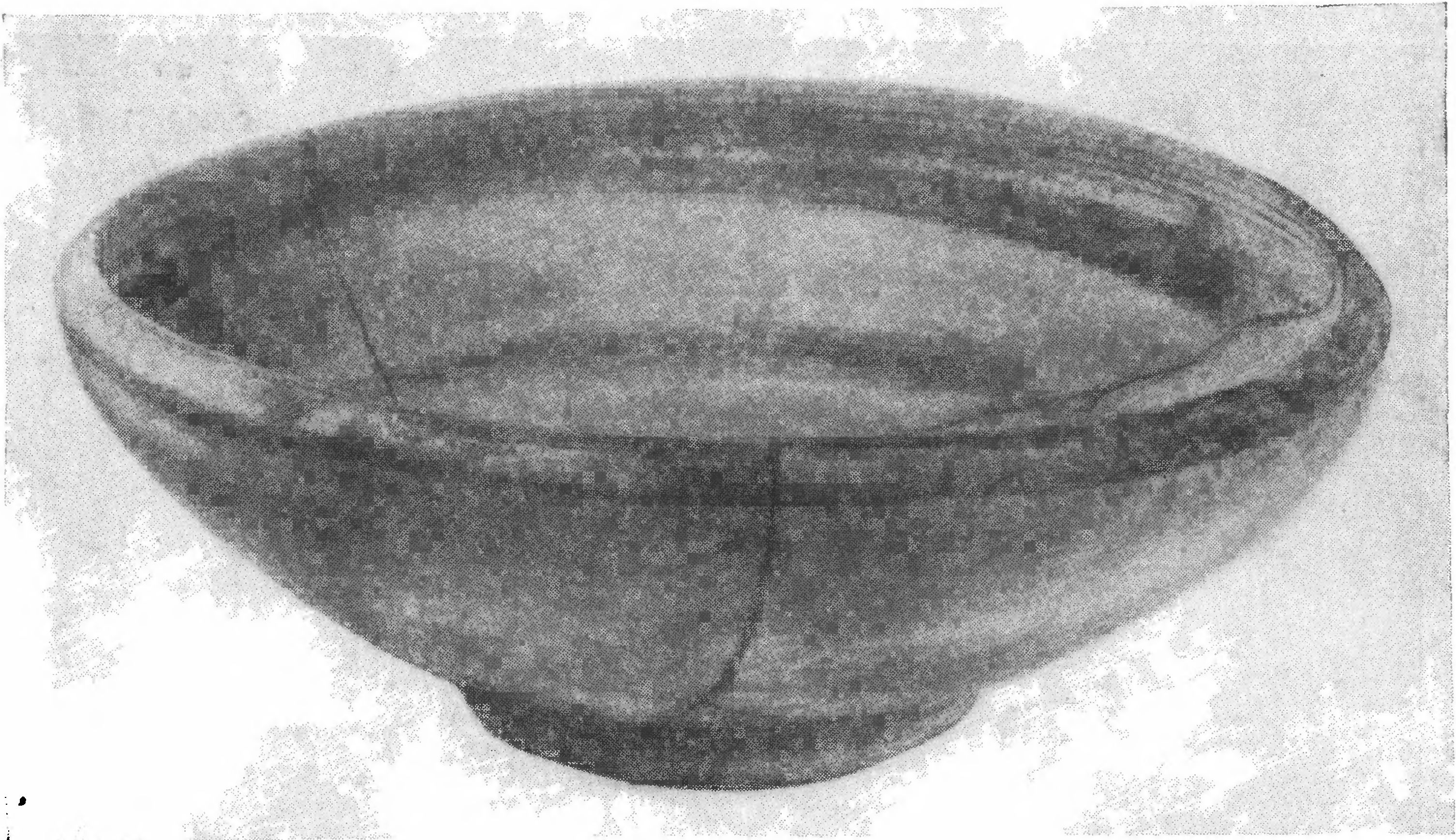 20. Боспорская расписная чашка VI в. до н. э. 20. Боспорская расписная чашка VI в. до н. э.