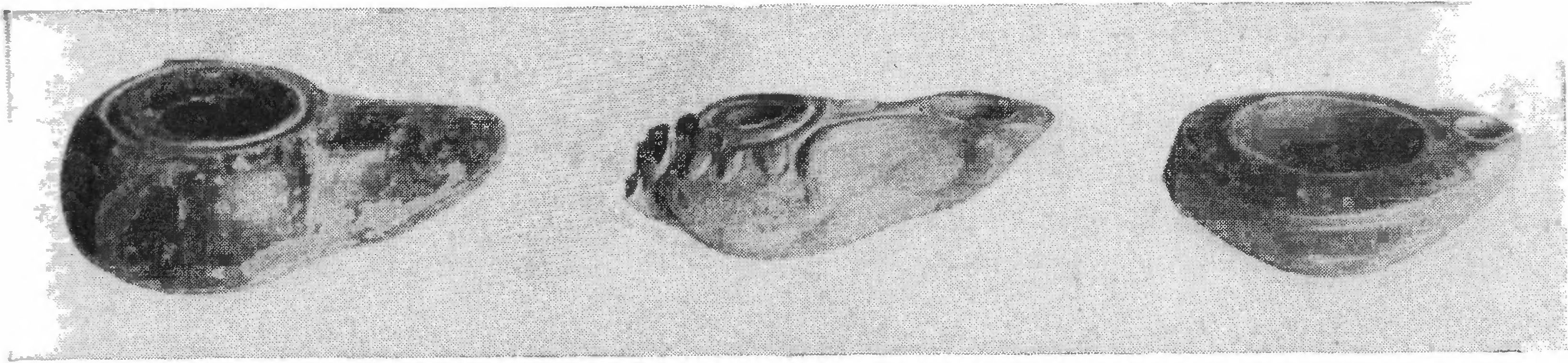 48. Светильники с одним рожком 48. Светильники с одним рожком