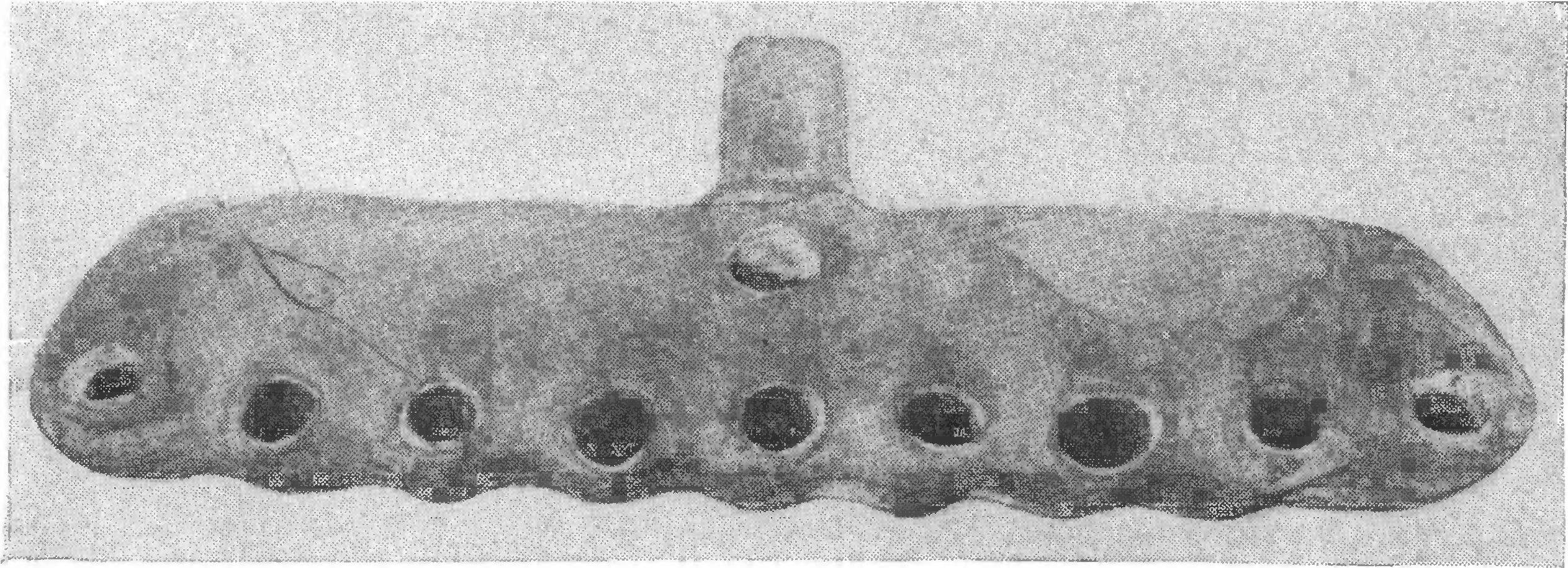 49. Девятирожковый светильник 49. Девятирожковый светильник