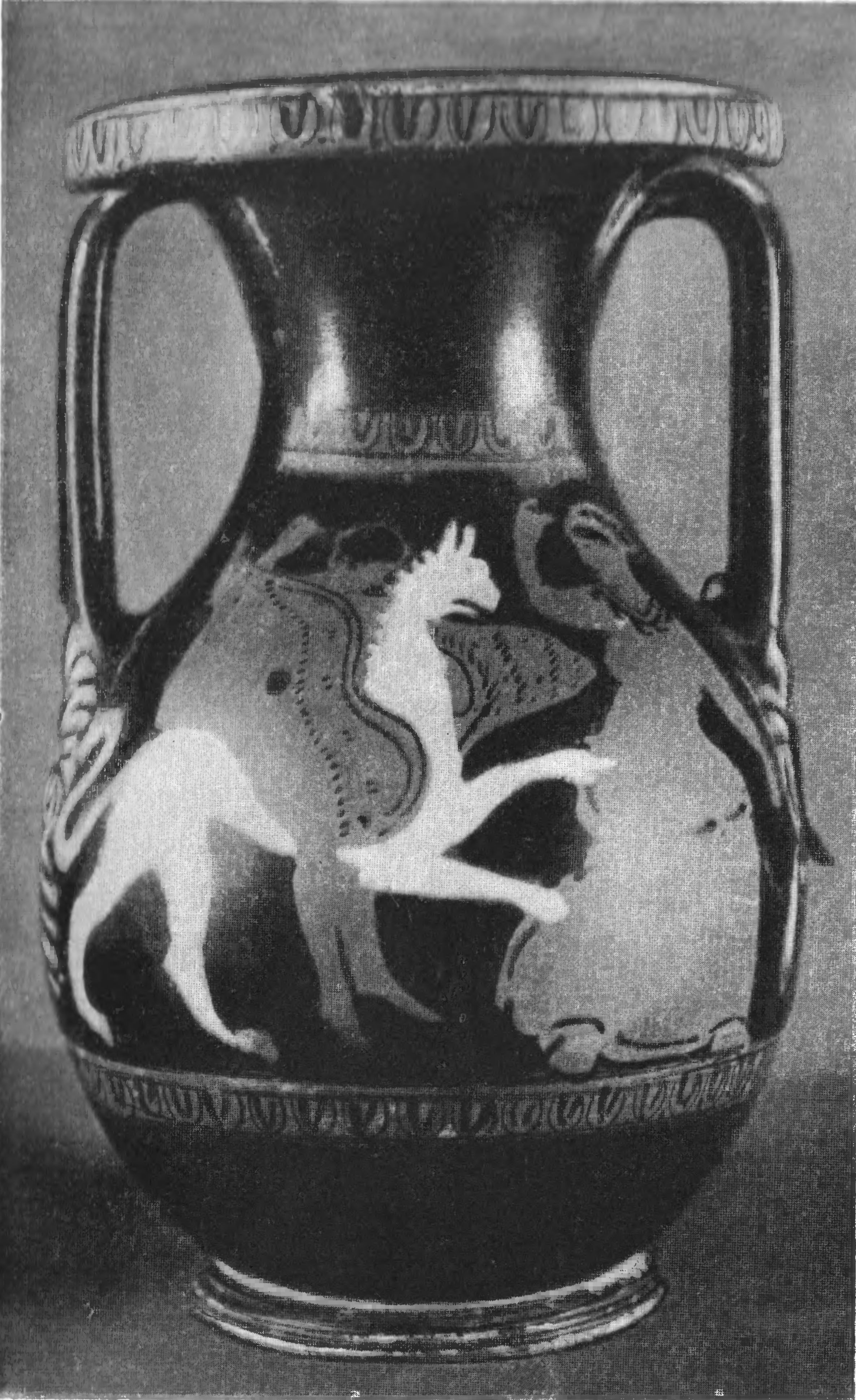 80а. Боспорская краснофигурная пелика. Лицевая сторона 80а. Боспорская краснофигурная пелика. Лицевая сторона