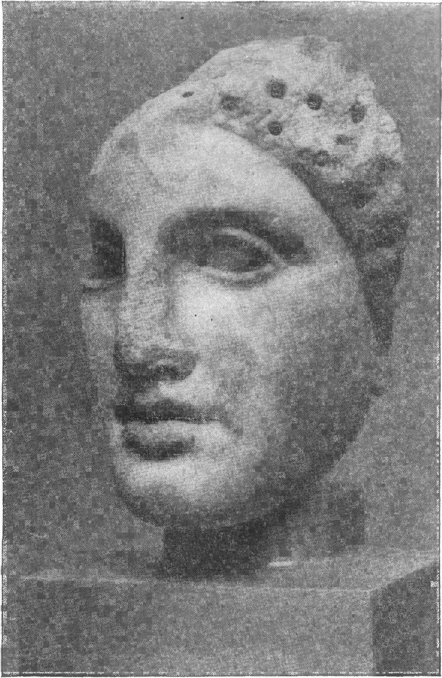 84. Голова Афродиты из Пантикапея (раскопки 1949 г.) 84. Голова Афродиты из Пантикапея (раскопки 1949 г.)