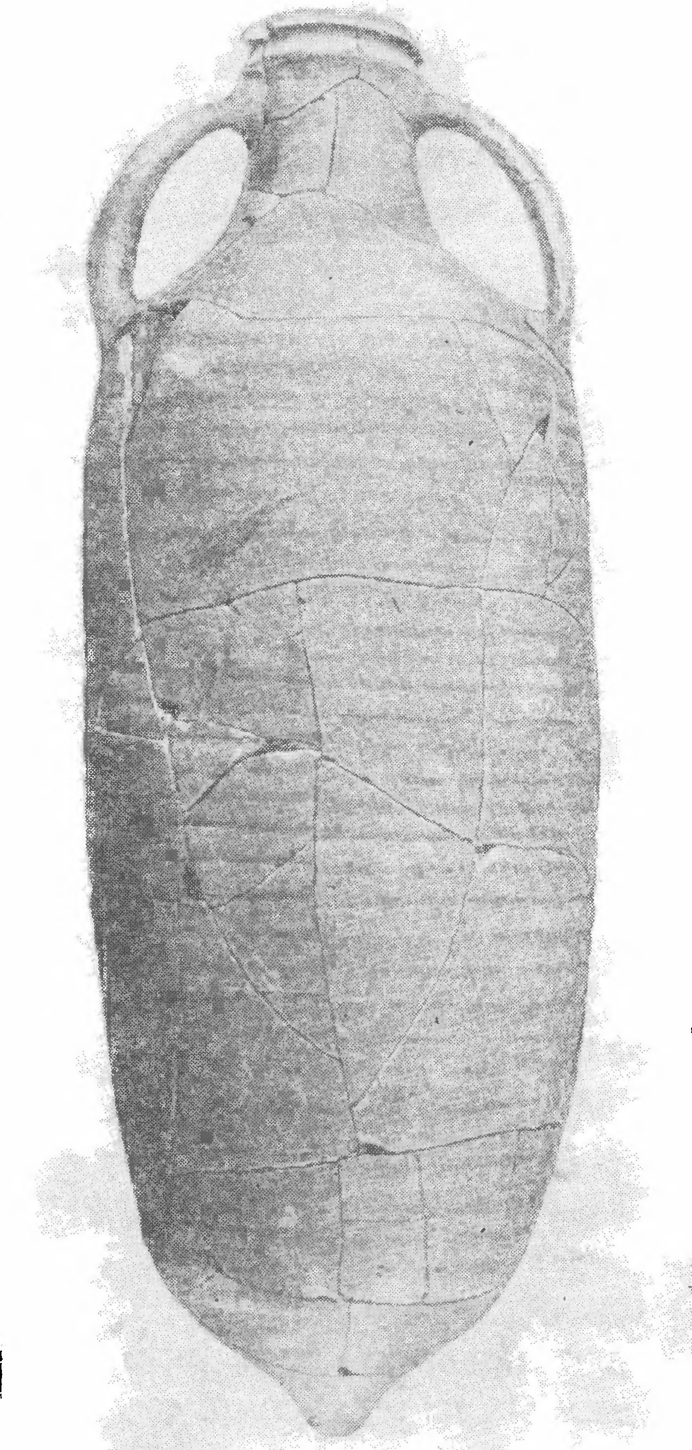 90. Амфора конца III — начала IV в. н. э. из Харакса 90. Амфора конца III — начала IV в. н. э. из Харакса