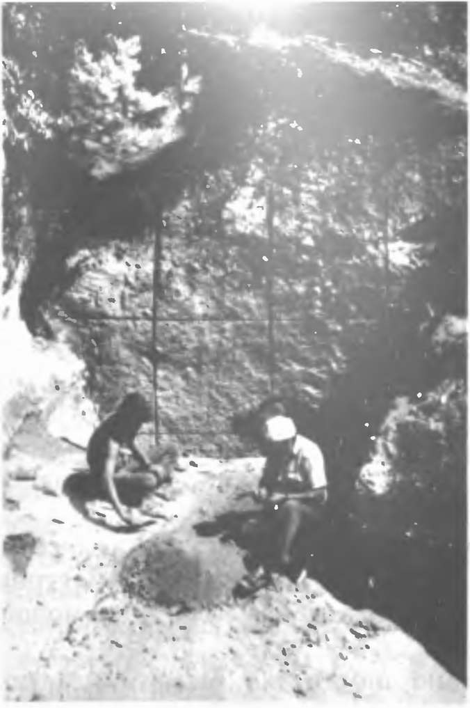 Подготовка стратиграфического разреза на восточной стенке стоянки Заскальная V Подготовка стратиграфического разреза на восточной стенке стоянки Заскальная V