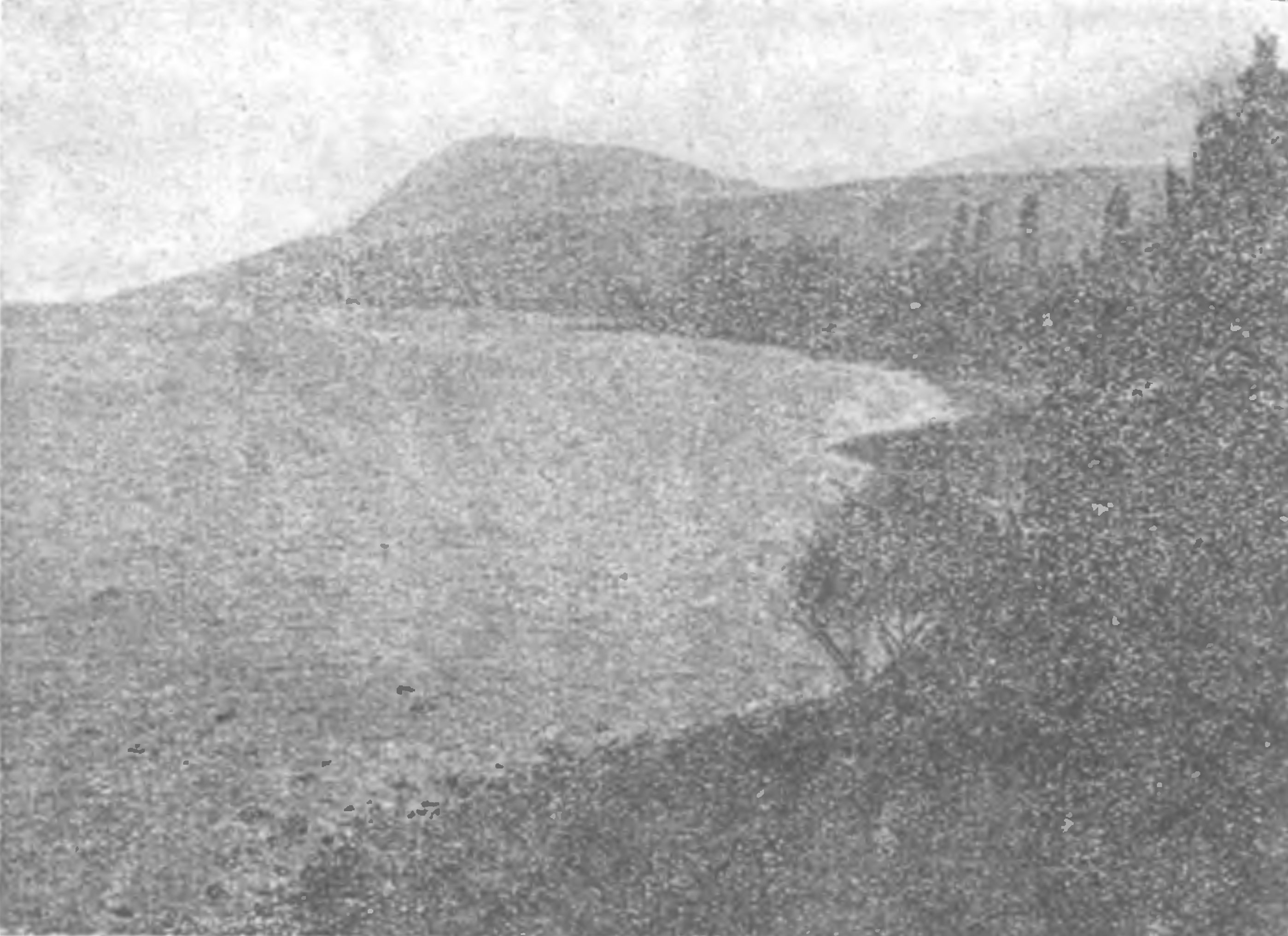 Алуштинский залив (фото автора) Алуштинский залив (фото автора)