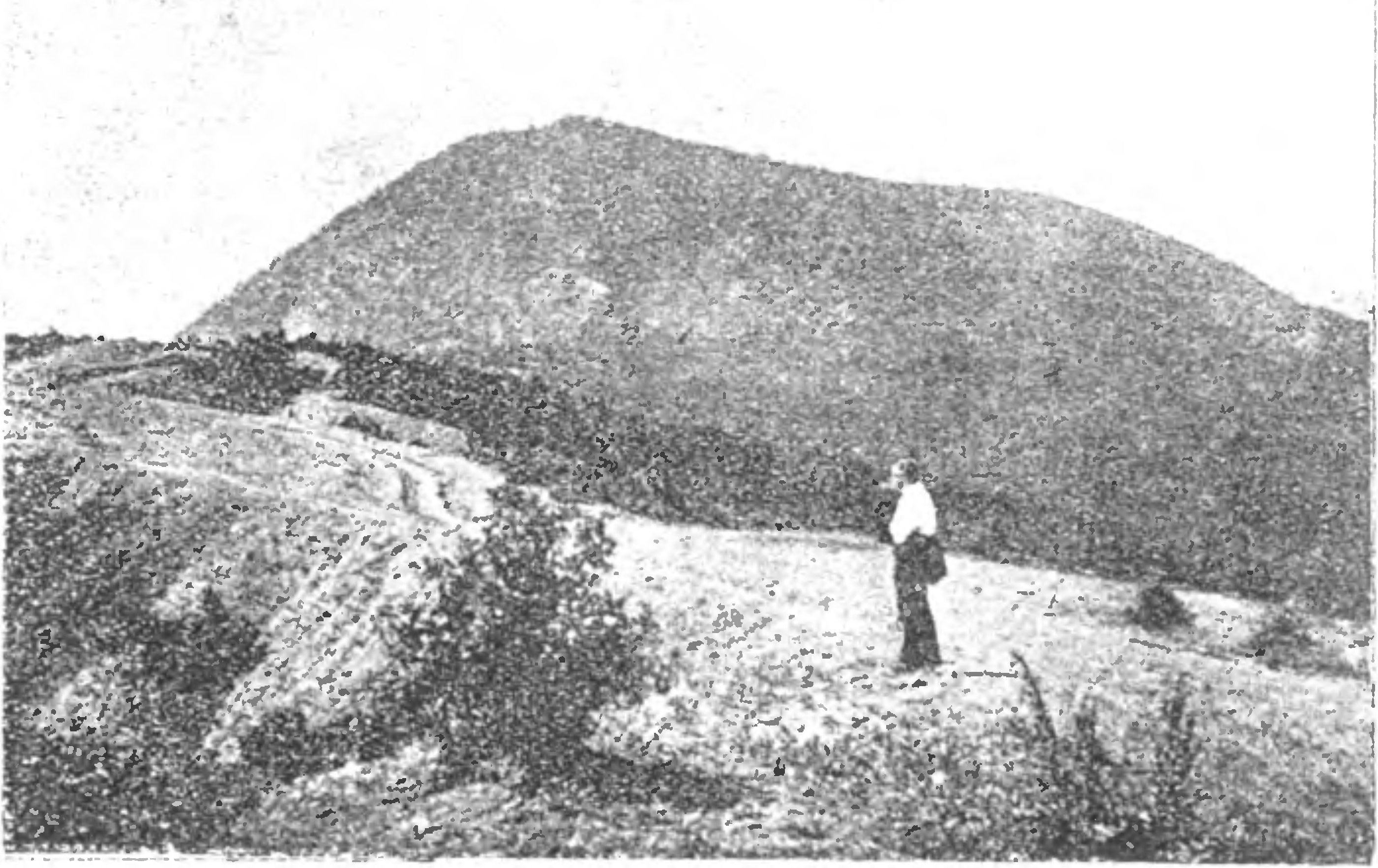 По дороге на гору Кастель (фото автора) По дороге на гору Кастель (фото автора)