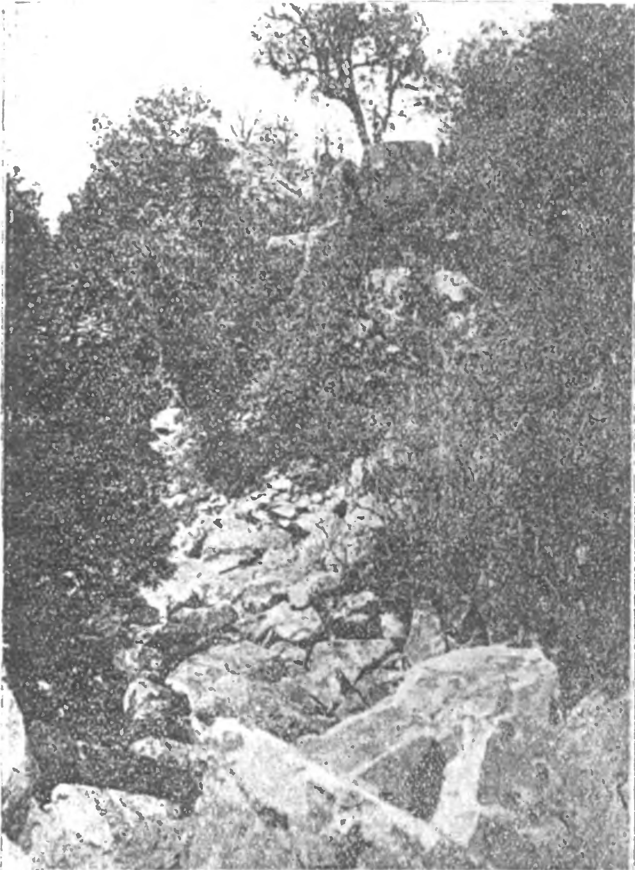 Кастельский кратер (фото автора) Кастельский кратер (фото автора)