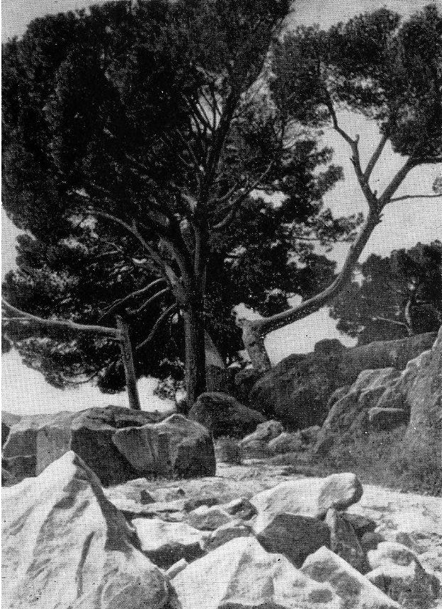 8. Вершина Большого хаоса 8. Вершина Большого хаоса