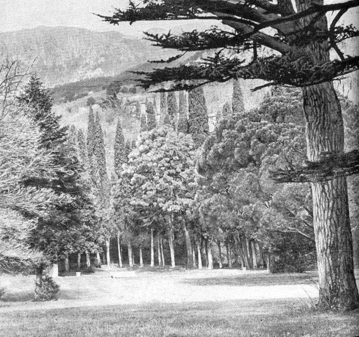 14. Солнечная поляна 14. Солнечная поляна