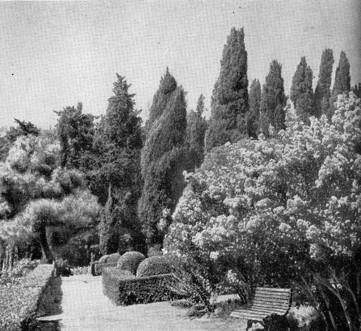 16. Аллея в парке. На первом плане куст индийской сирени 16. Аллея в парке. На первом плане куст индийской сирени