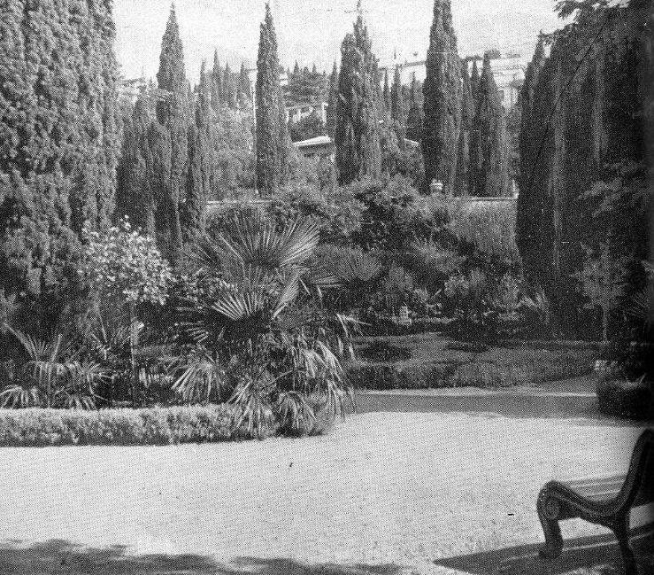 22. Уголок нижнего парка 22. Уголок нижнего парка