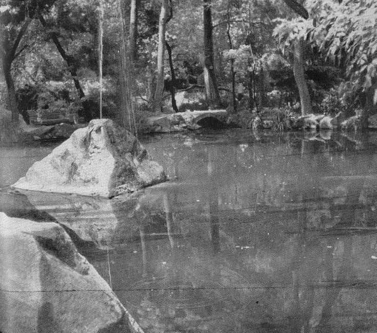 23. Лебединое озеро 23. Лебединое озеро