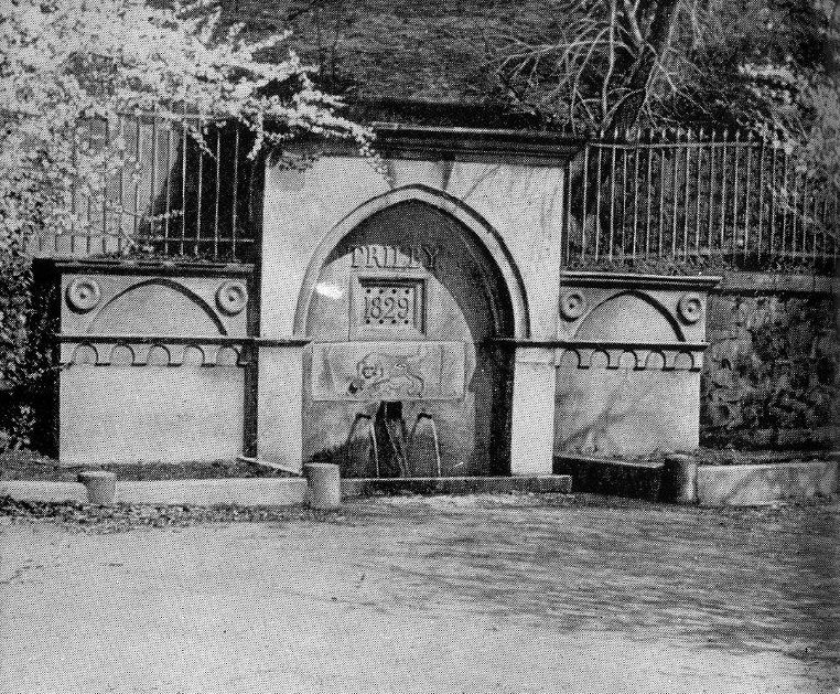 24. Источник «Трильби» 24. Источник «Трильби»