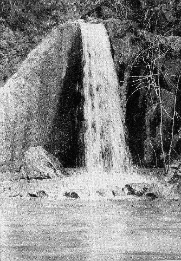 25. Каскад в самшитовой роще 25. Каскад в самшитовой роще