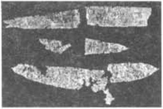 Фрагменты золотых погребальных венков из погребений Западного некрополя Херсонеса. Раскопки автора Фрагменты золотых погребальных венков из погребений Западного некрополя Херсонеса. Раскопки автора