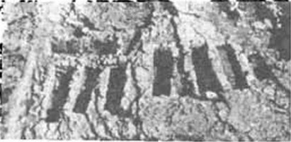 Семейные участки погребений на Западном некрополе Херсонеса. Раскопки автора Семейные участки погребений на Западном некрополе Херсонеса. Раскопки автора