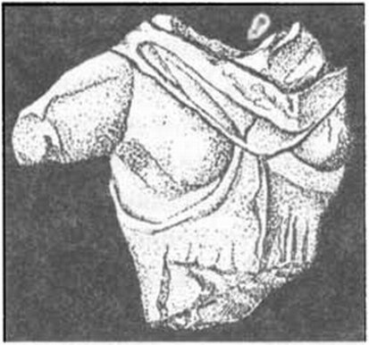 Терракотовый торс статуи богини Партенос (по Н.И. Печенкину)