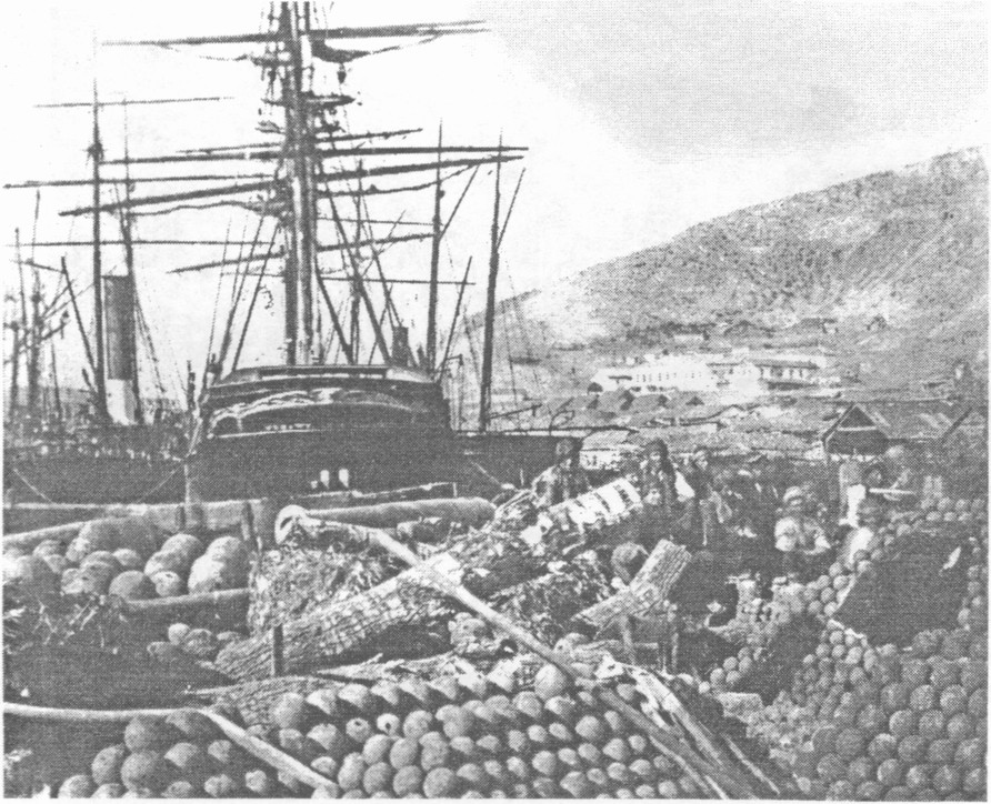 Артиллерийская пристань. Фото Р. Фентона Артиллерийская пристань. Фото Р. Фентона