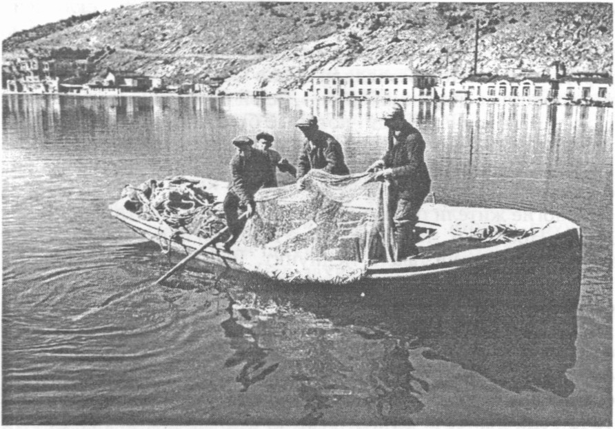 Балаклавские рыбаки. Фото 1942 г