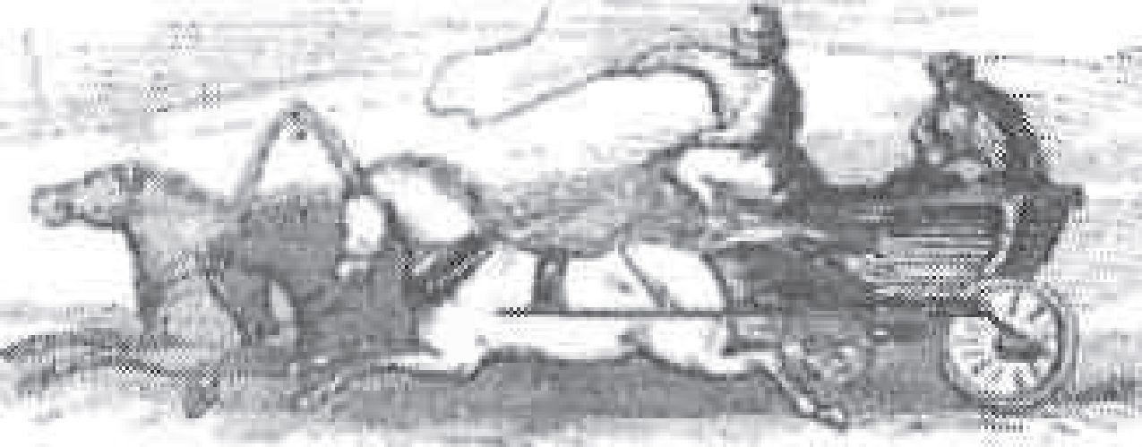 Почтовая телега. Из книги Л. Олифанта. 1852 г. Почтовая телега. Из книги Л. Олифанта. 1852 г.