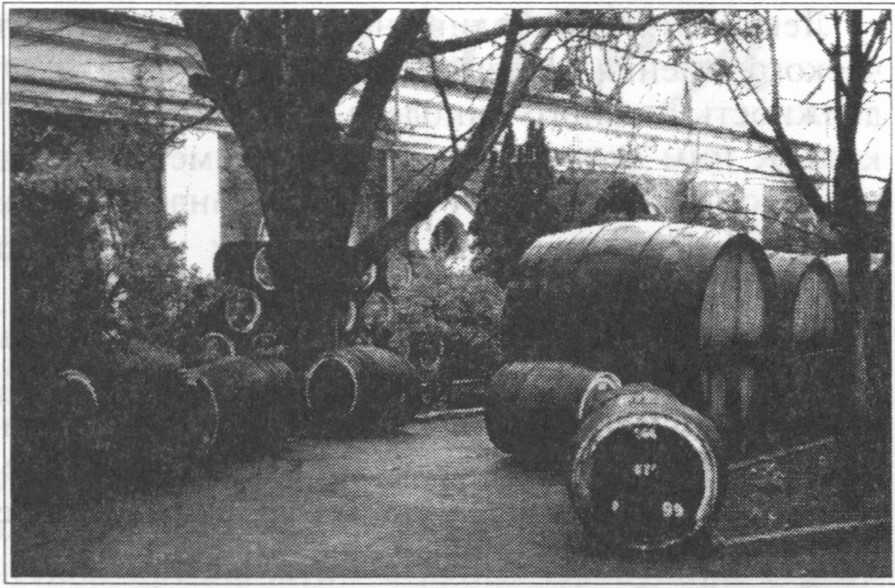 Территория винподвала в Ореанде Территория винподвала в Ореанде