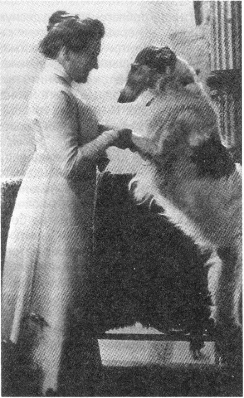 О.Л. Книппер-Чехова. 1906—1907 гг. О.Л. Книппер-Чехова. 1906—1907 гг.