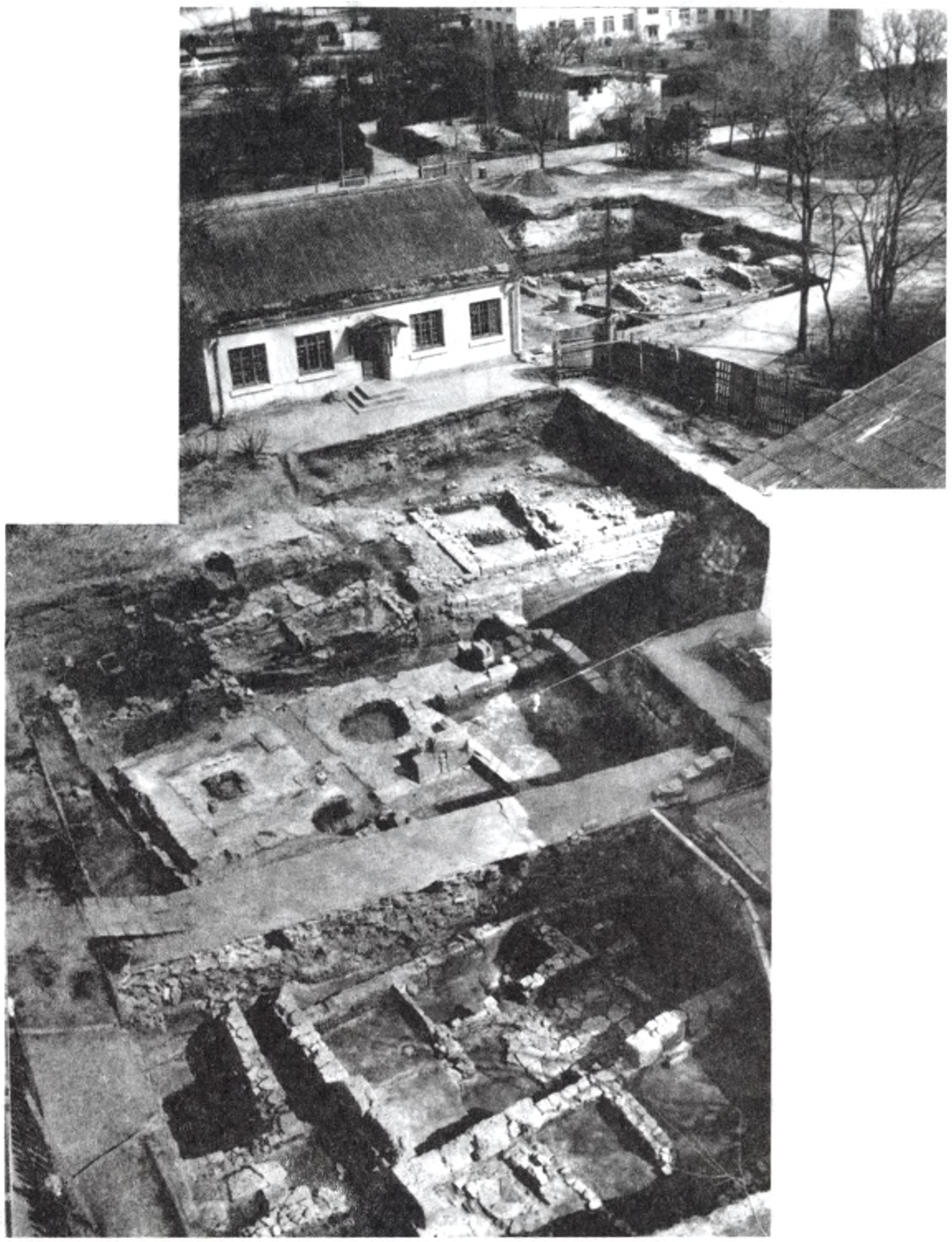 Общий вид с запада участка раскопок 1980 г.