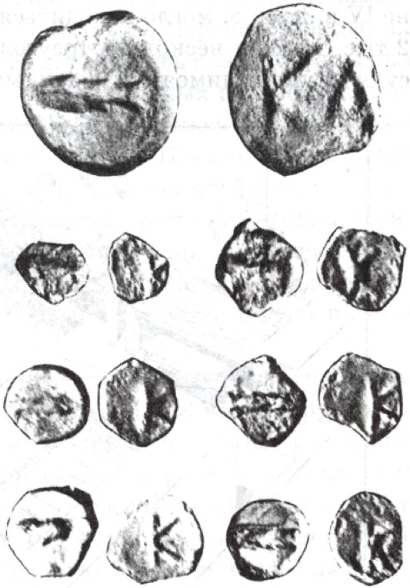 Литые монеты Керкинитиды последней трети V в. до н. э.