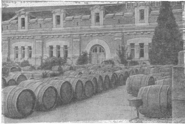 Виноградно-винодельческий комбинат «Массандра» — одно из крупнейших предприятий нашей страны по производству марочных вин. На снимке — подвал-завод № 1 комбината «Массандра» Виноградно-винодельческий комбинат «Массандра» — одно из крупнейших предприятий нашей страны по производству марочных вин. На снимке — подвал-завод № 1 комбината «Массандра»