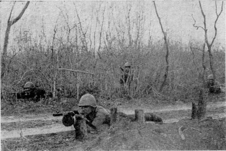 Разведка в районе хутора Мекензия Разведка в районе хутора Мекензия