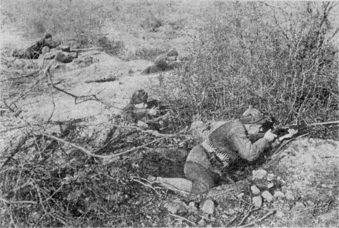 Стрелки ведут бои в районе Мекензиевы Горы Стрелки ведут бои в районе Мекензиевы Горы