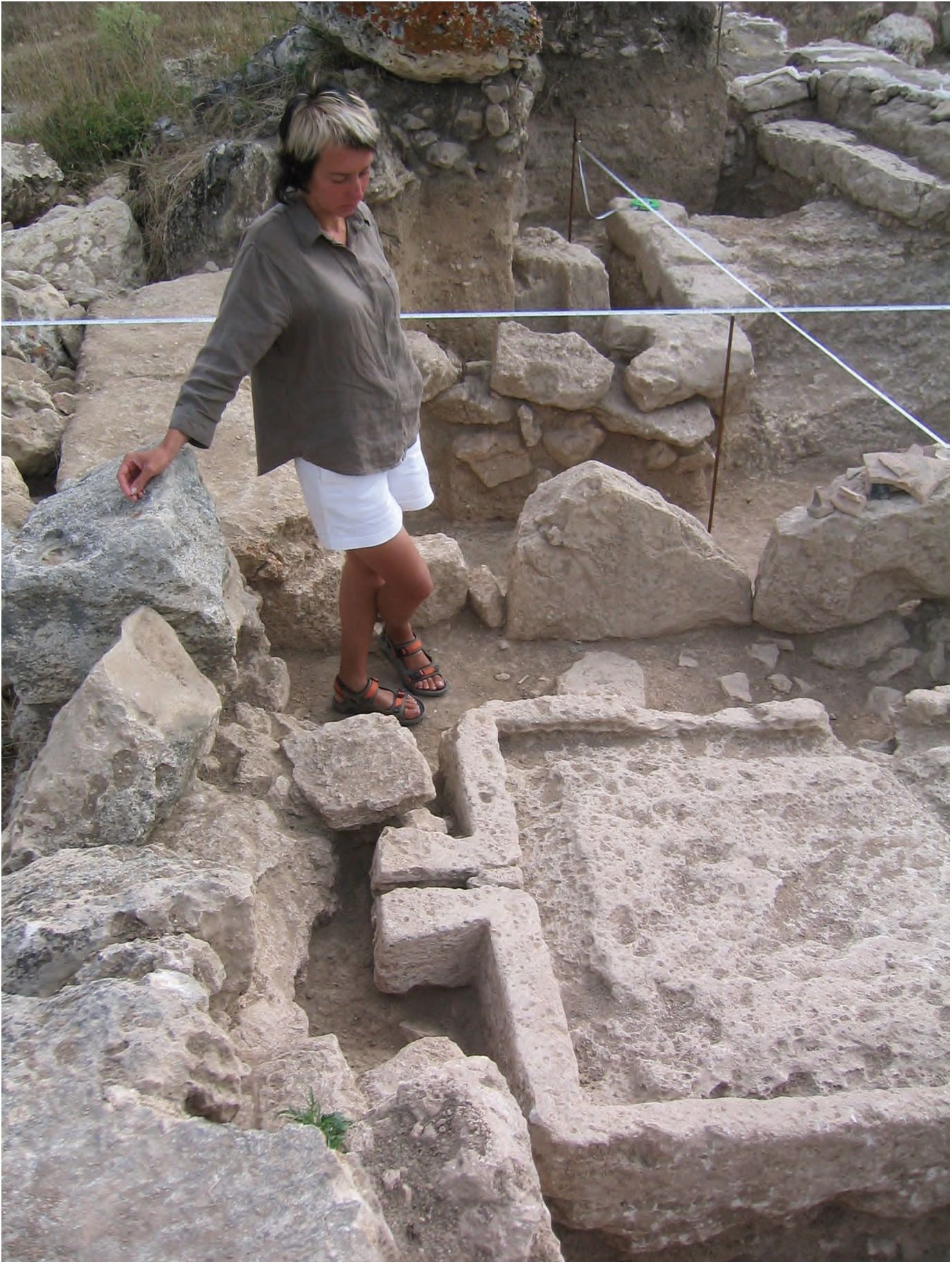 111. Гераклейский полуостров, тарапан in situ 111. Гераклейский полуостров, тарапан in situ