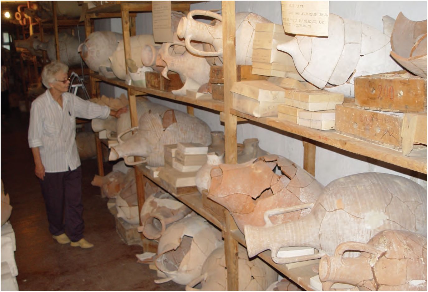 14. Фонды, находки из совхоза 10 (съемки 2004 г.) 14. Фонды, находки из совхоза 10 (съемки 2004 г.)