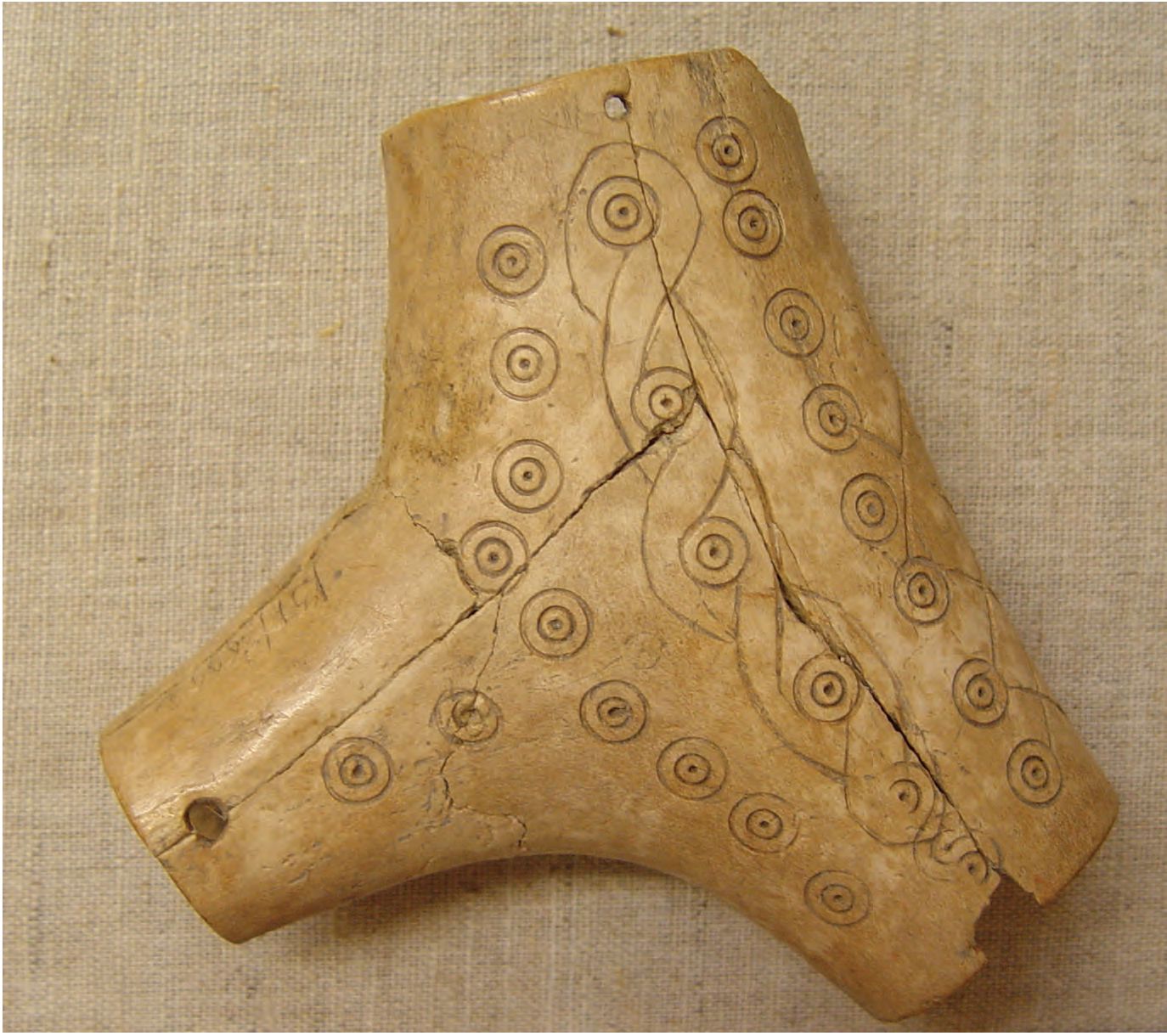 91. Навершие для бурдюка из раскопок дома, сгоревшего в конце XIII в., кость 91. Навершие для бурдюка из раскопок дома, сгоревшего в конце XIII в., кость