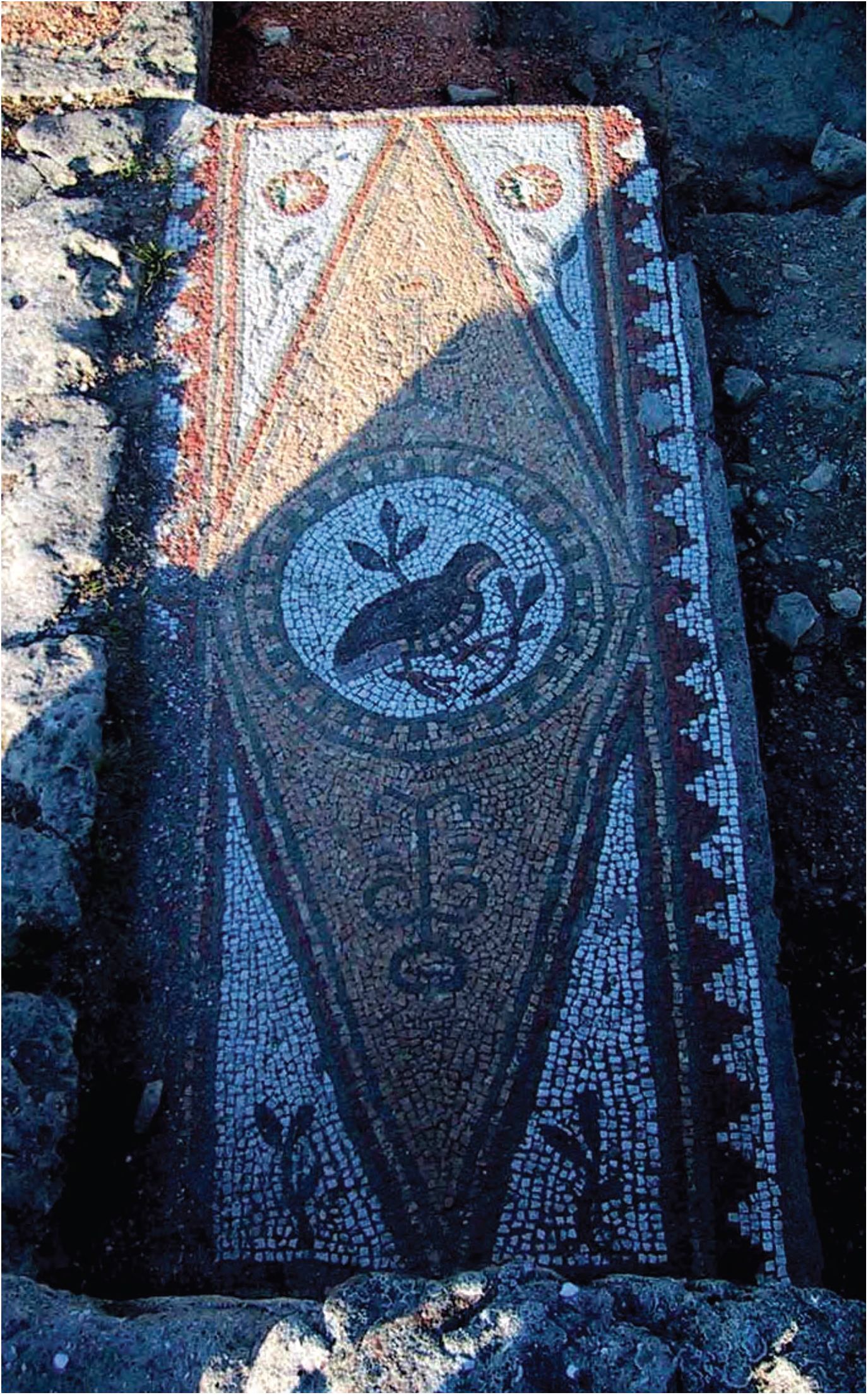 37. Базилика № 15, фрагмент мозаичного пола