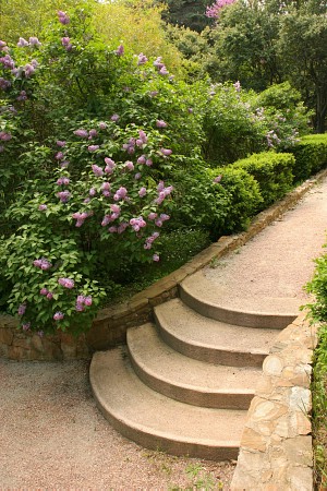 Парк санатория «Карасан» Парк санатория «Карасан»