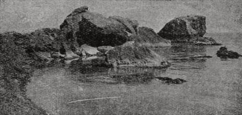 Берег в Ореанде (фот. Н.Н. Клепинина) Берег в Ореанде (фот. Н.Н. Клепинина)