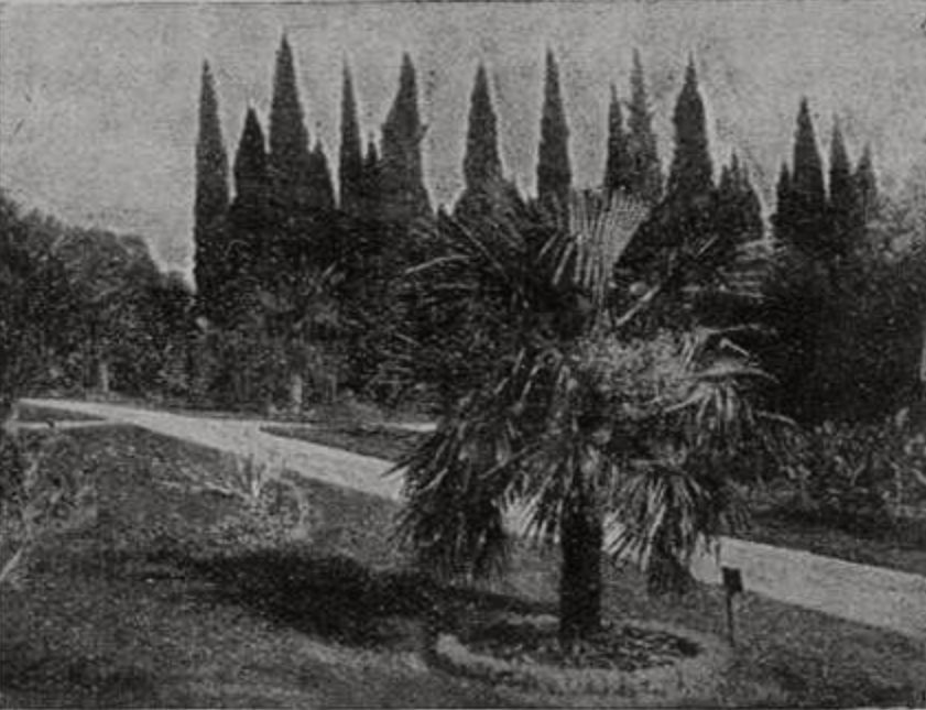 Никитский Сад Никитский Сад