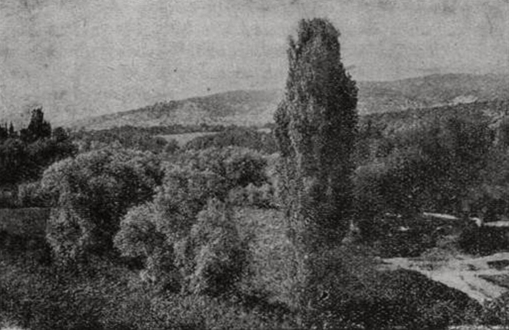 Долина р. Салгира. Долина р. Салгира.