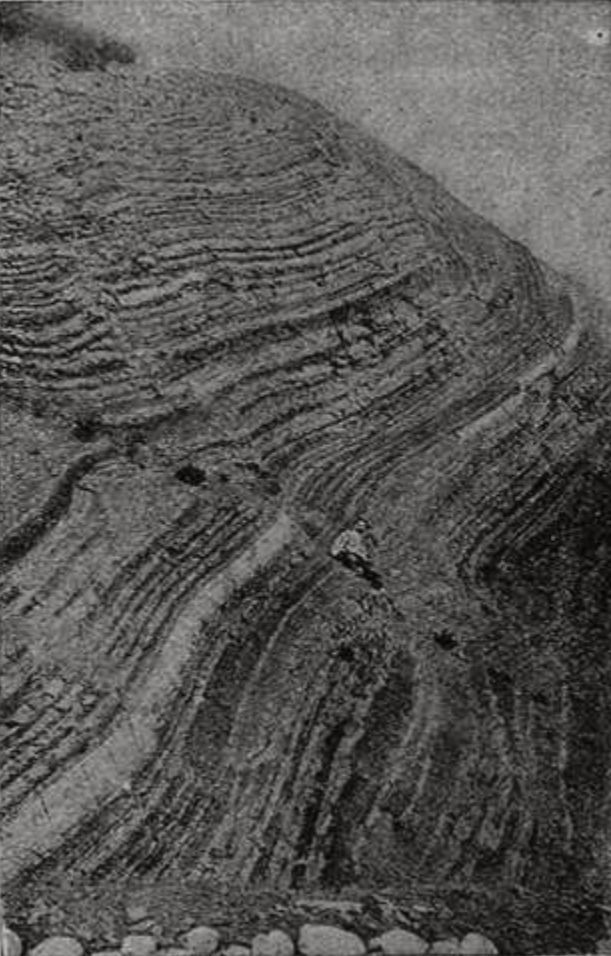 Наклон сланцев близ Алушты. Наклон сланцев близ Алушты.