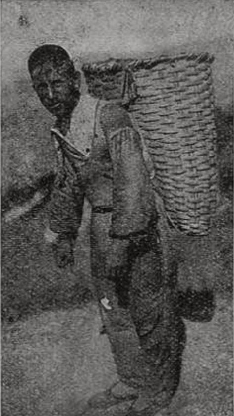 Татарин (фот. М.И. Дубровского) Татарин (фот. М.И. Дубровского)