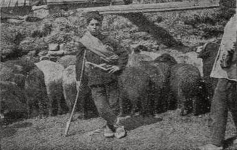 Чабан (горный район) Чабан (горный район)