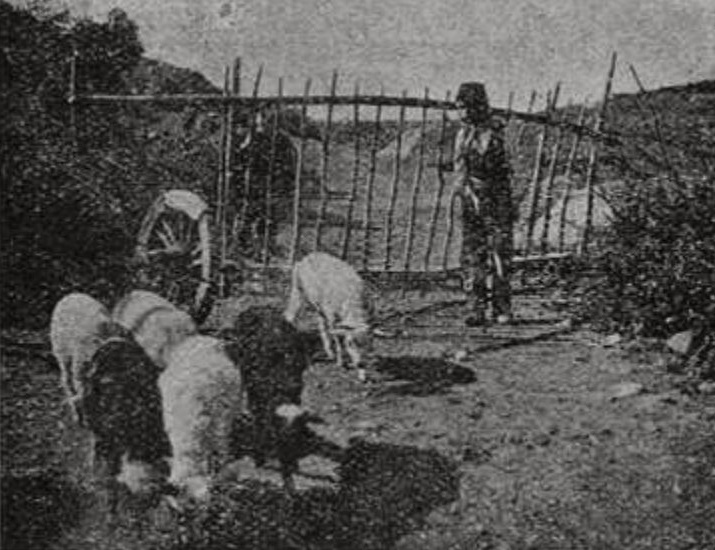 Ворота в горной татарской деревне (фот. М.И. Дубровского) Ворота в горной татарской деревне (фот. М.И. Дубровского)