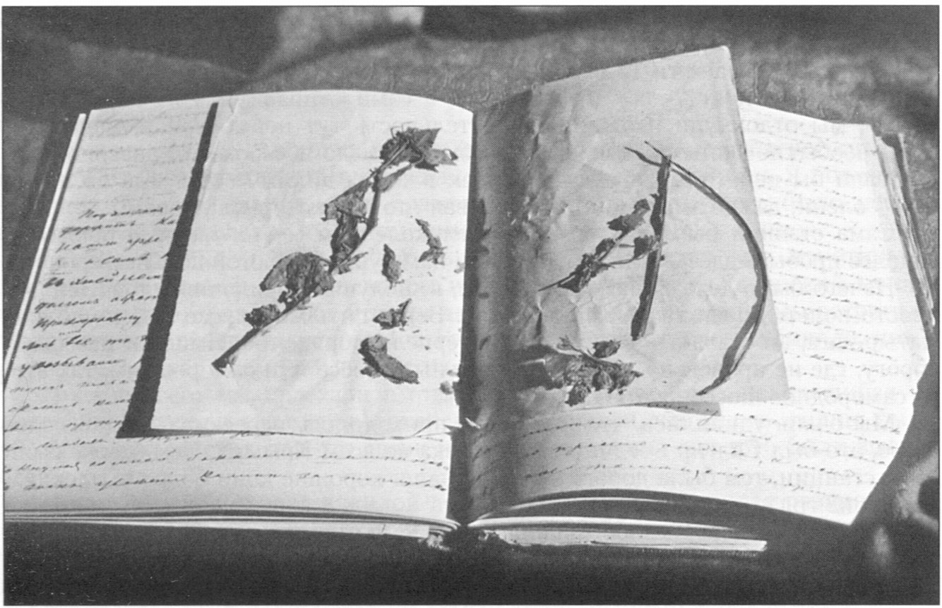 Путевой дневник В.Н. Третьяковой 1870 г. с засушенным букетиком крымских цветов. Гос. Третьяковской галерея. Воспроизводятся впервые. Фото Д. Лосева Путевой дневник В.Н. Третьяковой 1870 г. с засушенным букетиком крымских цветов. Гос. Третьяковской галерея. Воспроизводятся впервые. Фото Д. Лосева