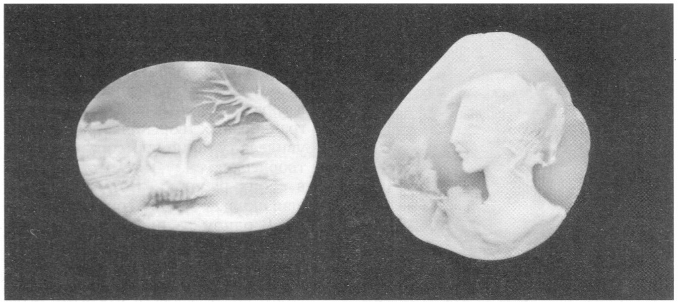 А. Голубкина. Камеи из черноморских раковин (1920-е). Музей-мастерская А. Голубкиной (Москва). Фото Д. Лосева А. Голубкина. Камеи из черноморских раковин (1920-е). Музей-мастерская А. Голубкиной (Москва). Фото Д. Лосева