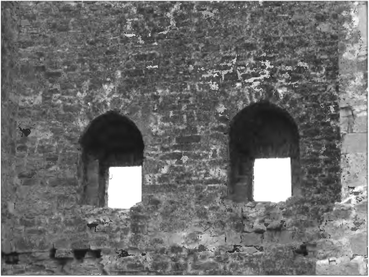 Рис. 288. Амбразуры второго яруса обороны в юго-восточной стене башни Криско. Вид с северо-запада и изнутри Рис. 288. Амбразуры второго яруса обороны в юго-восточной стене башни Криско. Вид с северо-запада и изнутри