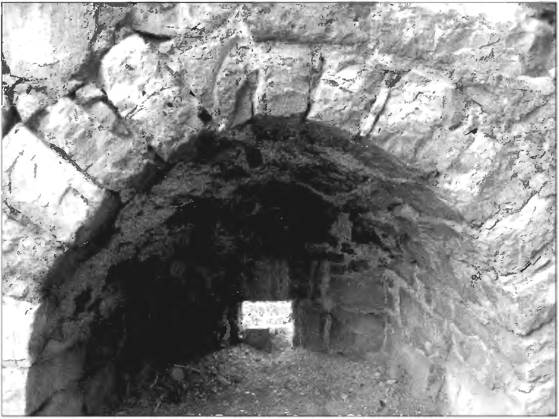 Рис. 291. Амбразура нижнего яруса обороны в северо-восточной стене башни Криско. Вид с юго-запада и изнутри Рис. 291. Амбразура нижнего яруса обороны в северо-восточной стене башни Криско. Вид с юго-запада и изнутри