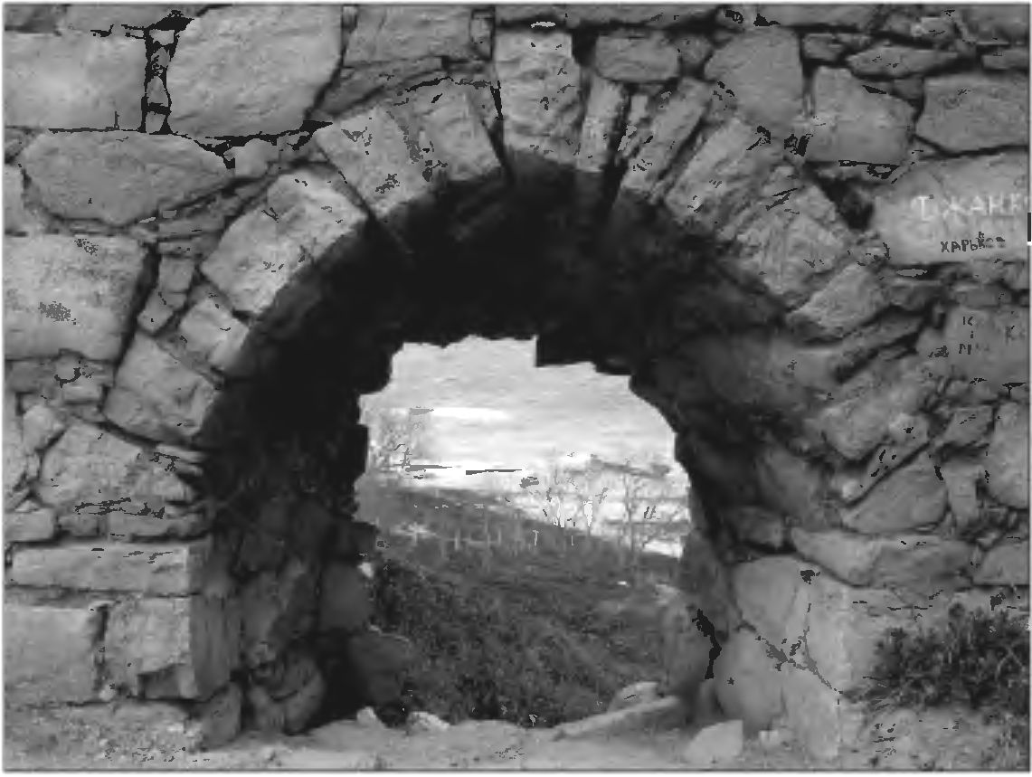 Рис. 292. Амбразура нижнего яруса обороны в юго-восточной стене башни Криско. Вид с северо-запада и изнутри Рис. 292. Амбразура нижнего яруса обороны в юго-восточной стене башни Криско. Вид с северо-запада и изнутри